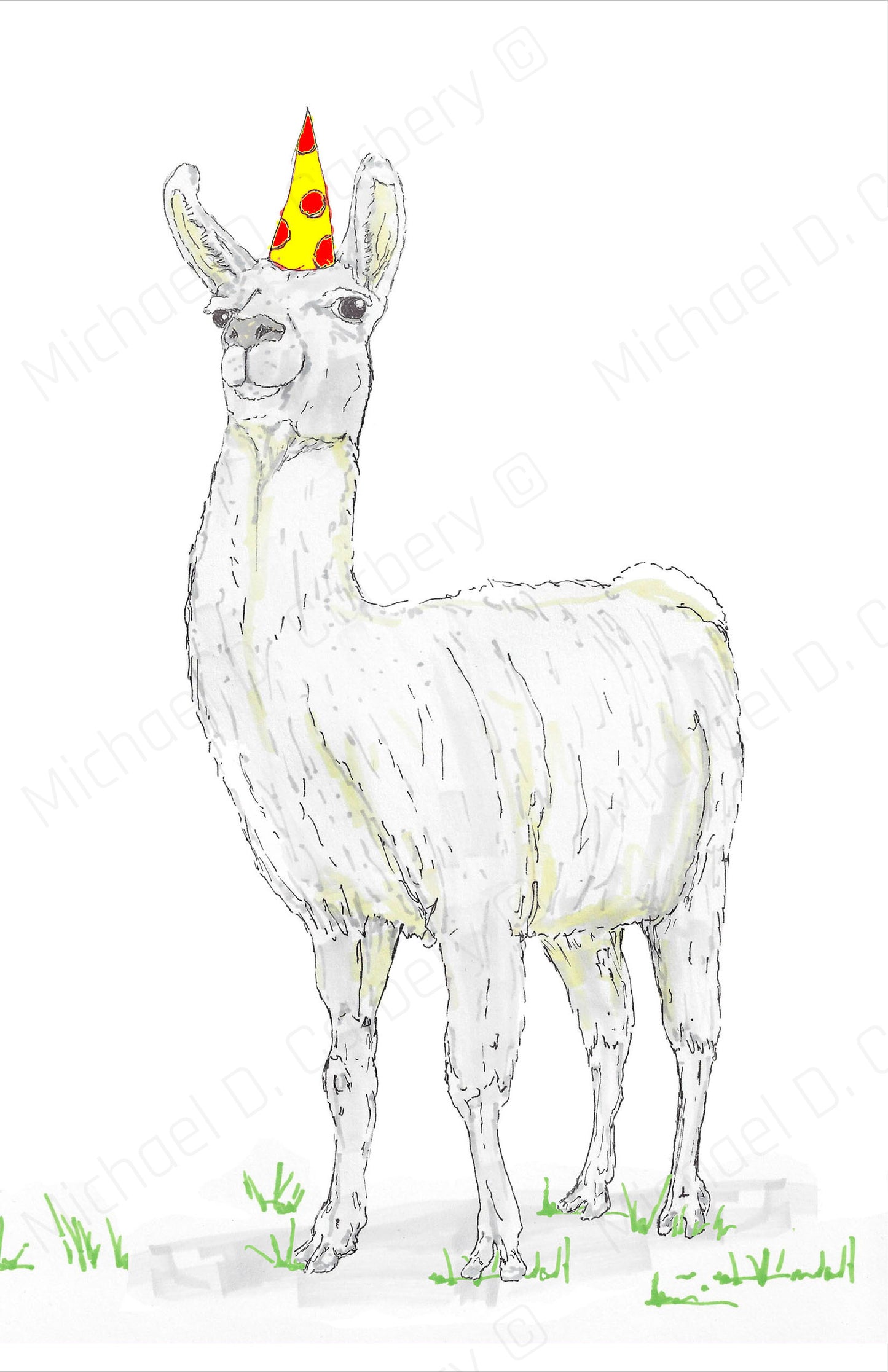 Birthday Llama Greeting Card - 6 pack