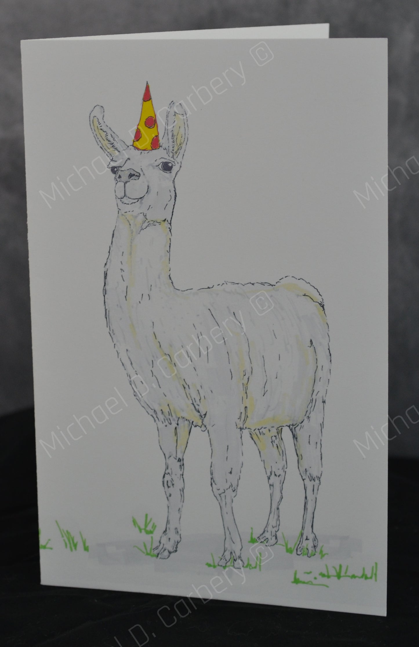 Birthday Llama Greeting Card - 6 pack