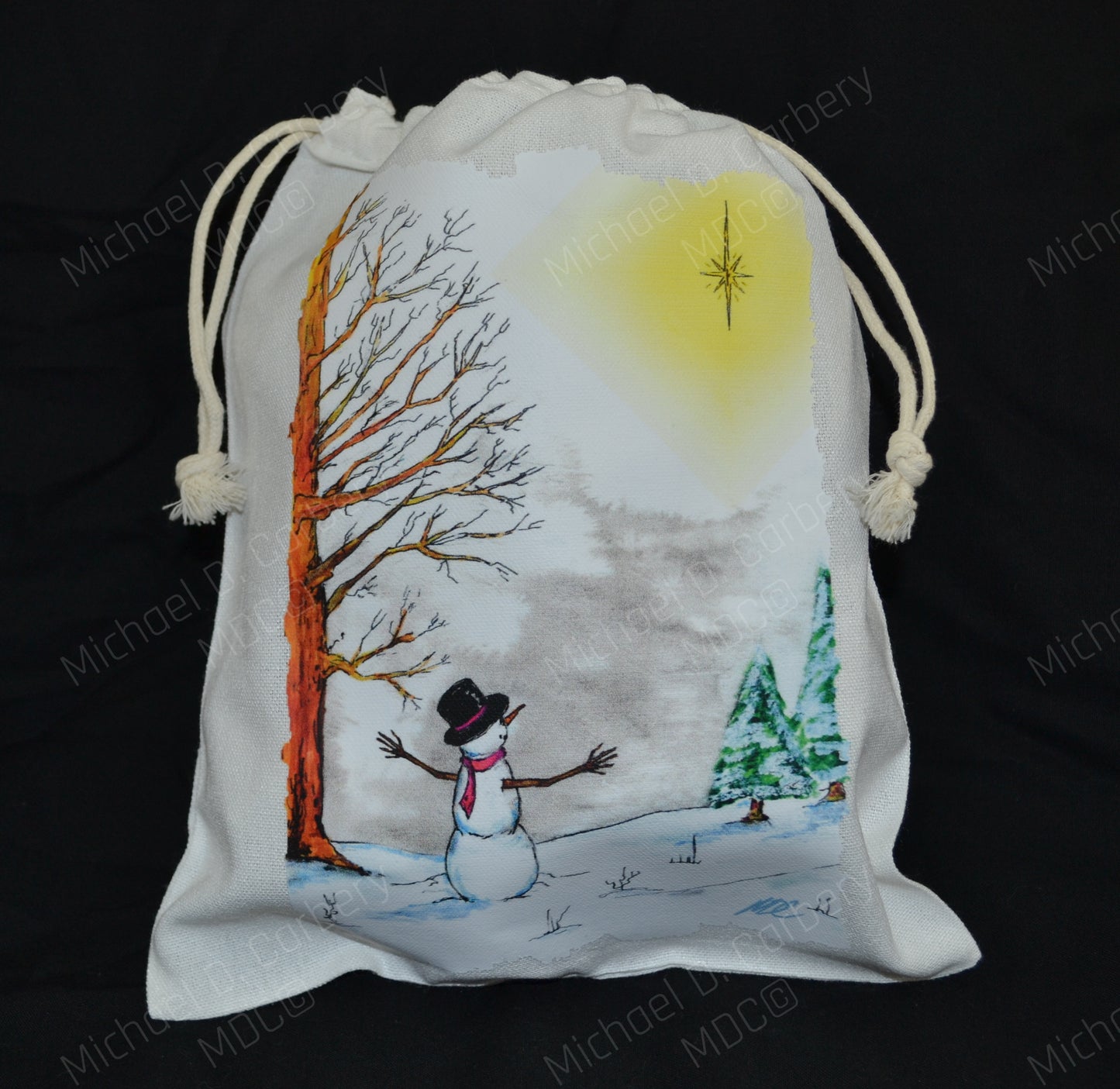 Snowman with North Star gift bag