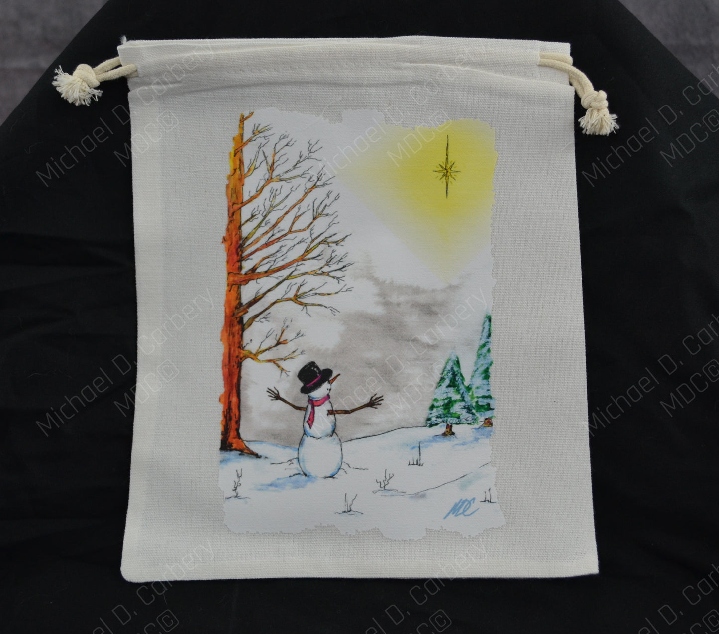 Snowman with North Star gift bag