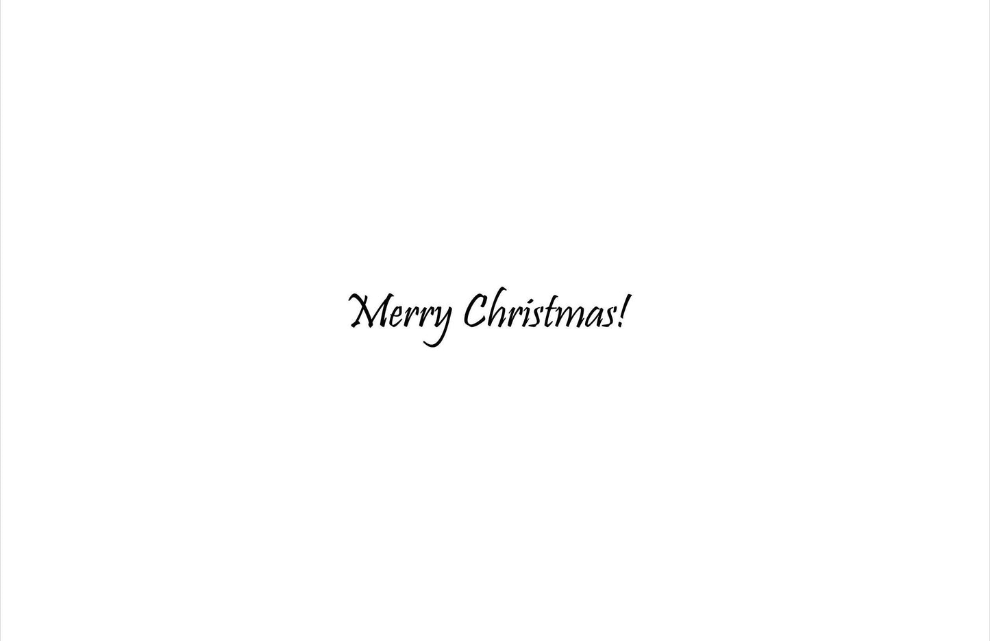 Polar Bear looking up at Santa - Christmas Card - 6 Pack