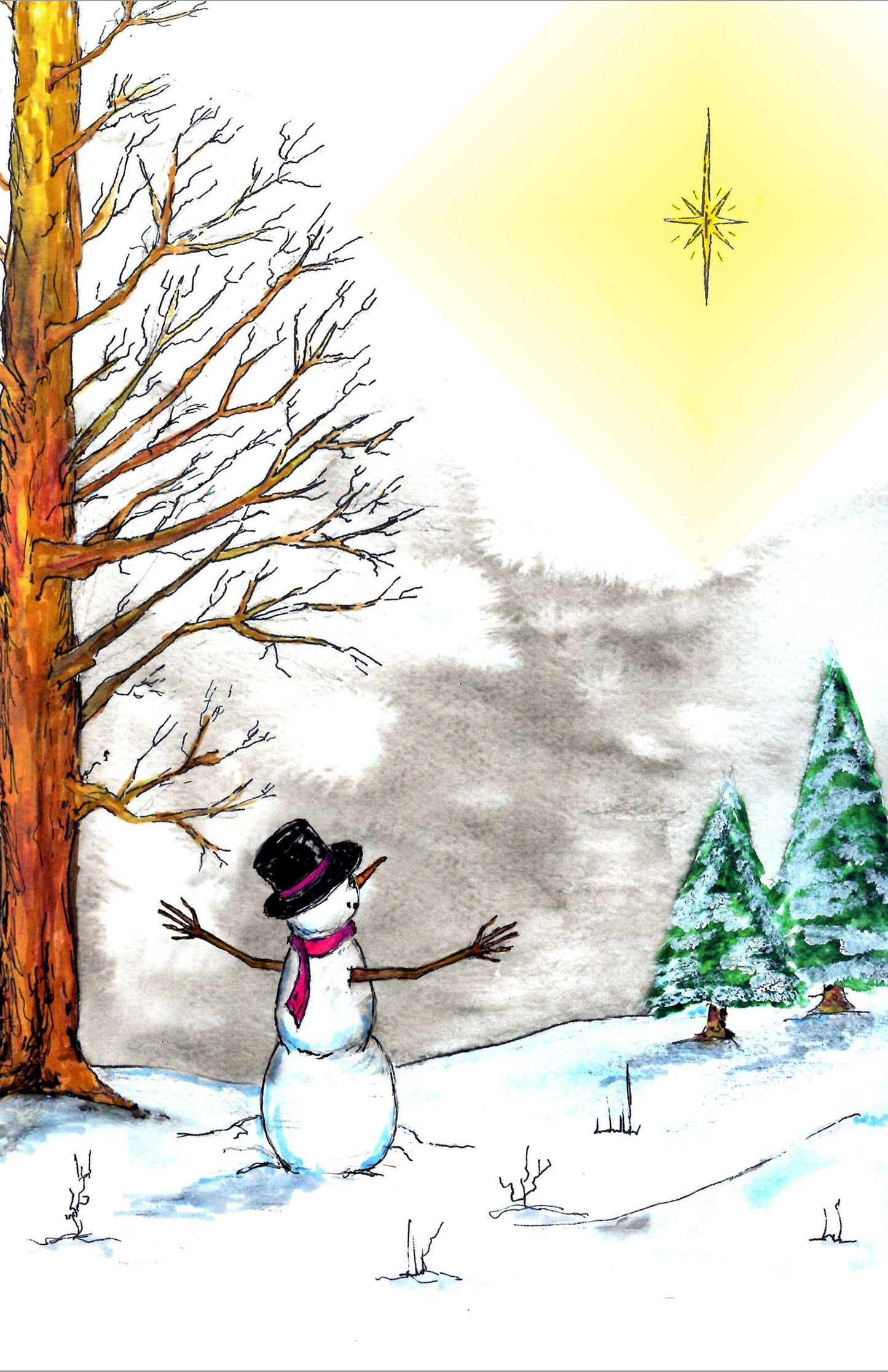 Snowman with North Star gift bag